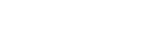 White ice driving USA logo
